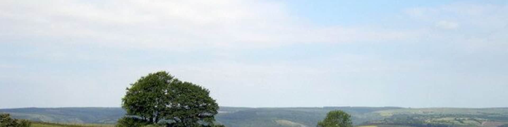 Shooting area above Brechfa.