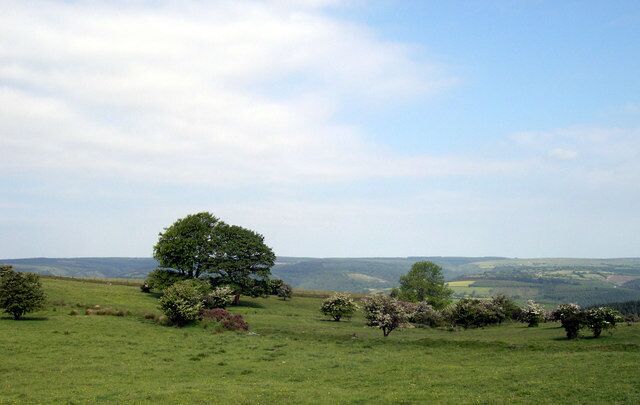A grassy field with scattered trees and rolling hills in the background.