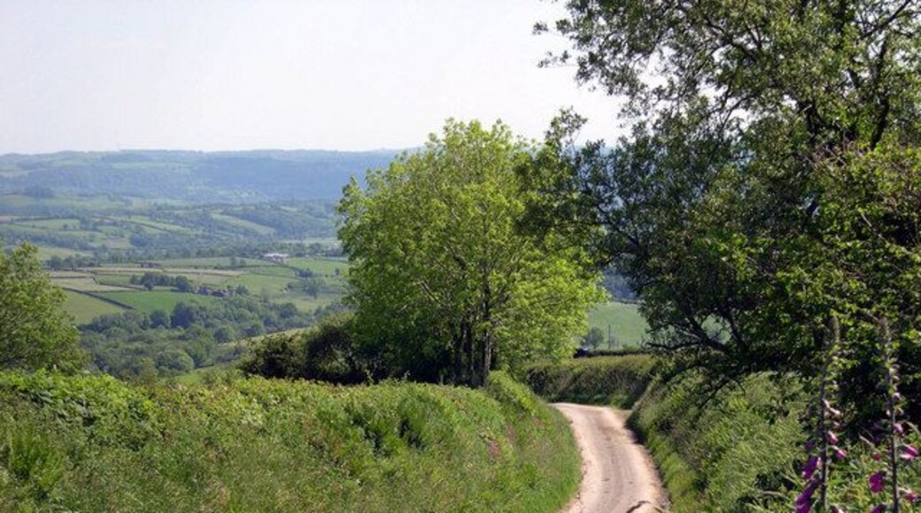 Down to Llanfynydd. Road to Llanfynydd from Banc Maes-yr-haidd.