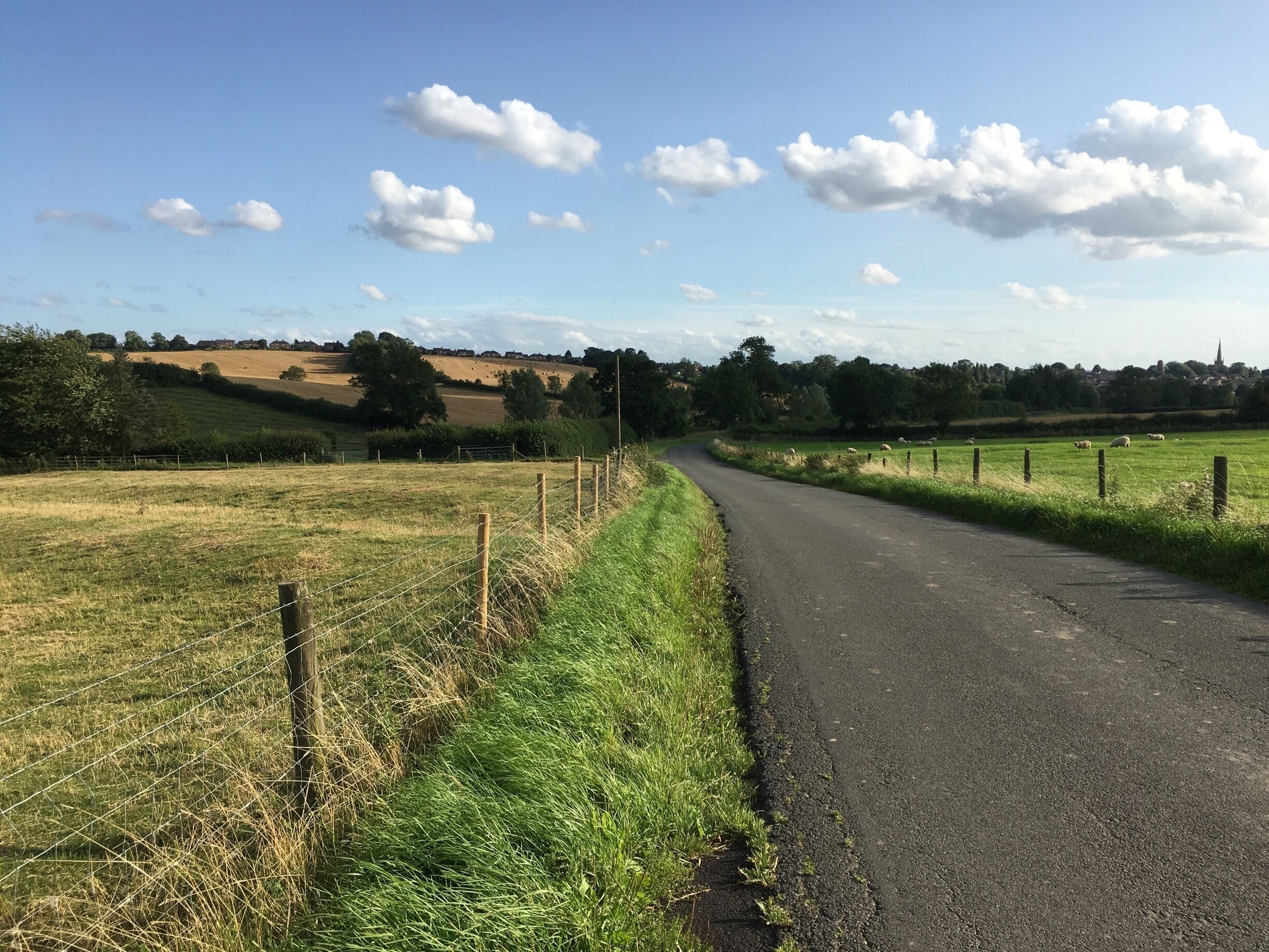 A rural road curving through fields with sheep grazing, surrounded by open fields and a distant town.