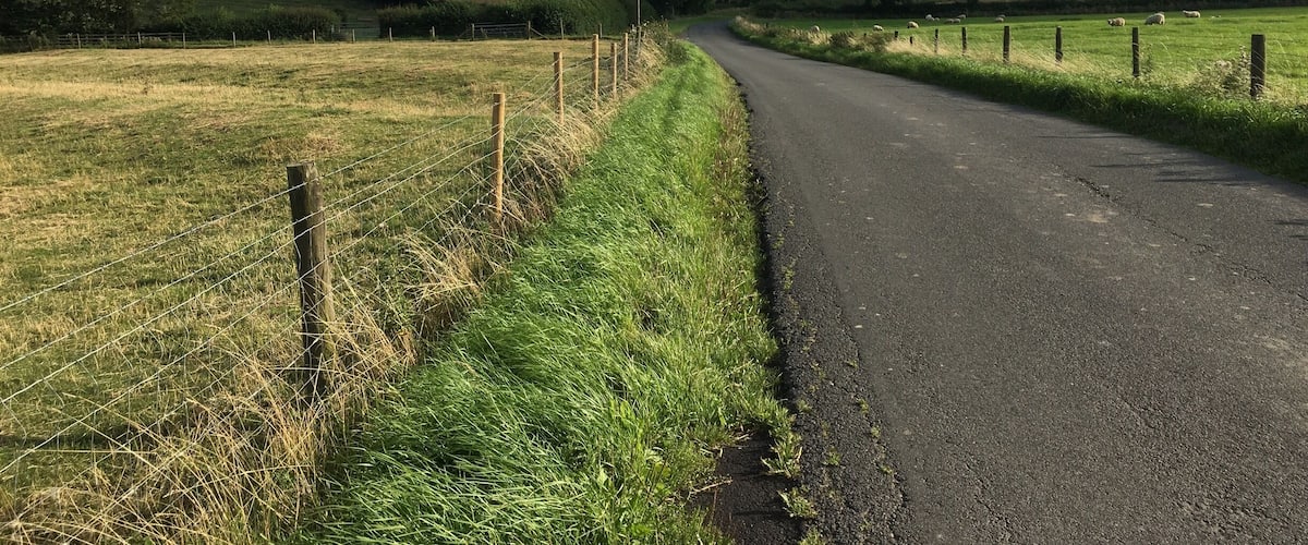 A rural road curving through fields with sheep grazing, surrounded by open fields and a distant town.