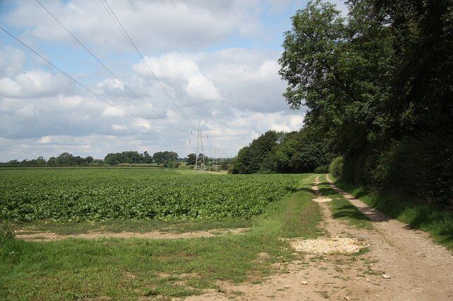 Track to Peggy's Holt Track from Hall Lane towards Peggy's Holt and on to Ashfield House