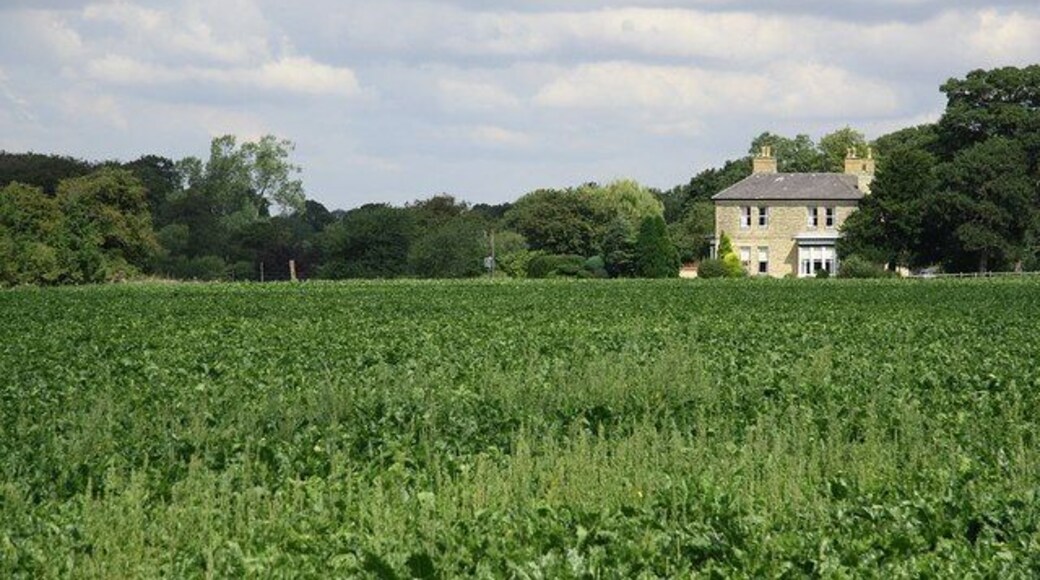 View to Branston View to Branston from Mere Road with Springfield in the trees