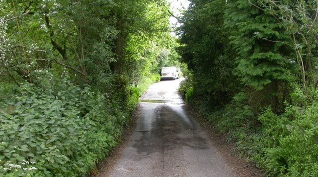 Waterditch, ford Small ford (not marked on OS) taking traffic across a stream which flows into Donkey Bottom. The ford lies in the civil parish of Bransgore, in the county of Hampshire.