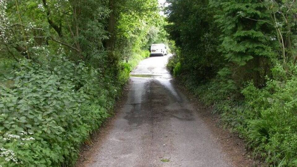 A narrow, wet road flanked by dense green foliage, leading to a white vehicle in the distance.