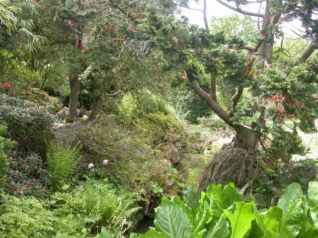 Rock garden at Hinton Admiral house. Purbeck stone supported by brickwork; built around 1900, with a stream flowing through, and a good collection of ferns. Link: Rock garden at Hinton Admiral house. ''Purbeck stone rather out of place here."