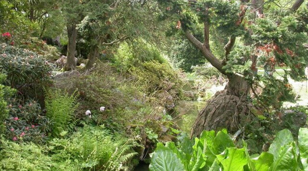 Rock garden at Hinton Admiral house. Purbeck stone supported by brickwork; built around 1900, with a stream flowing through, and a good collection of ferns. Link: Rock garden at Hinton Admiral house. ''Purbeck stone rather out of place here."