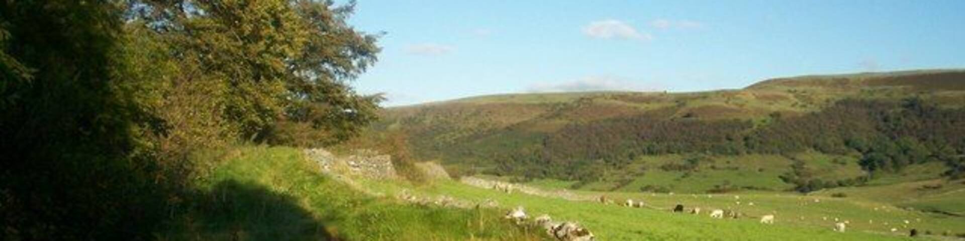 Near Jennings Dale Heading in an easterly direction towards Bradwell Dale which is situated behind the cattle and dry stone wall.