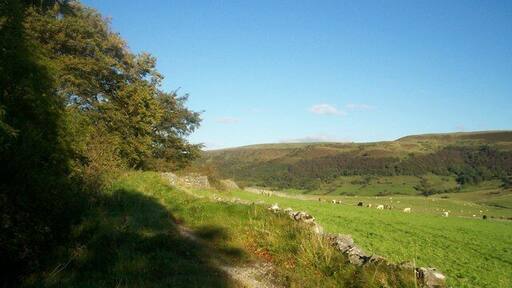 Near Jennings Dale Heading in an easterly direction towards Bradwell Dale which is situated behind the cattle and dry stone wall.