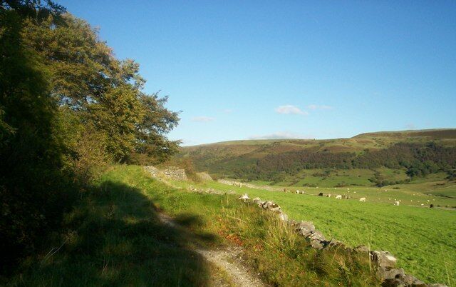 A rural landscape with a stone wall, a grassy field, and rolling hills in the distance.