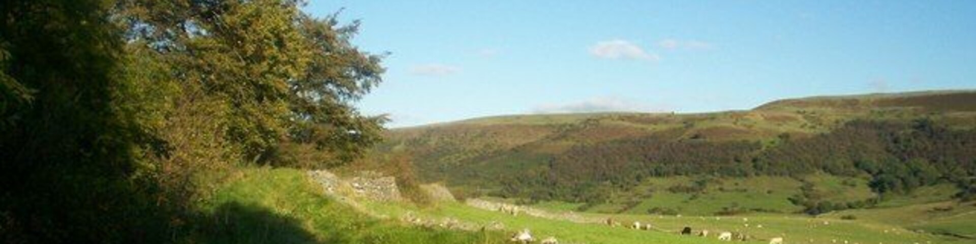 A rural landscape with a stone wall, a grassy field, and rolling hills in the distance.