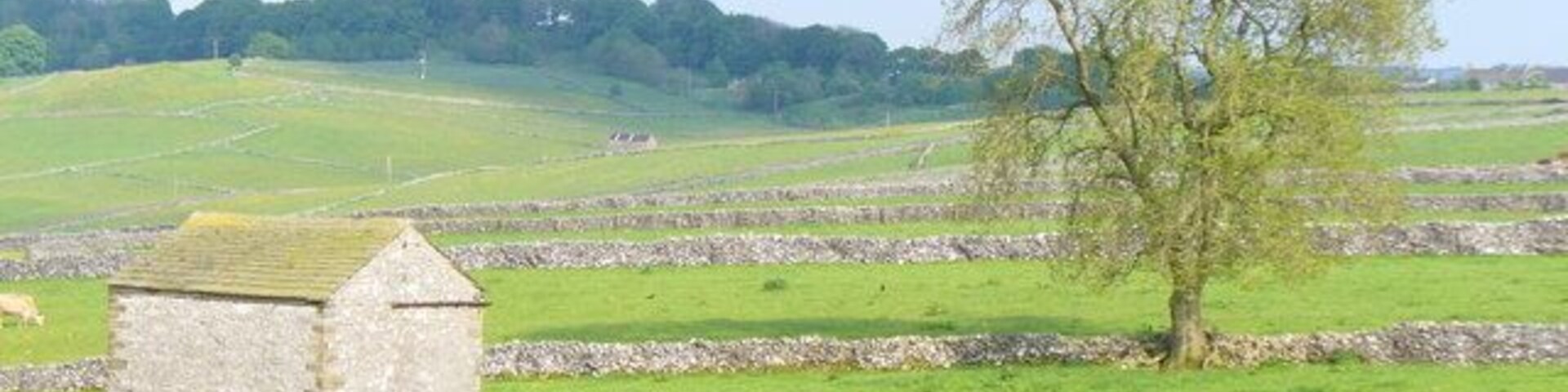 Stone Barn near Rake Mine Derbyshire Peak scenery of stone dry stone walls, stone barn and grassy fields underlain by limestone.