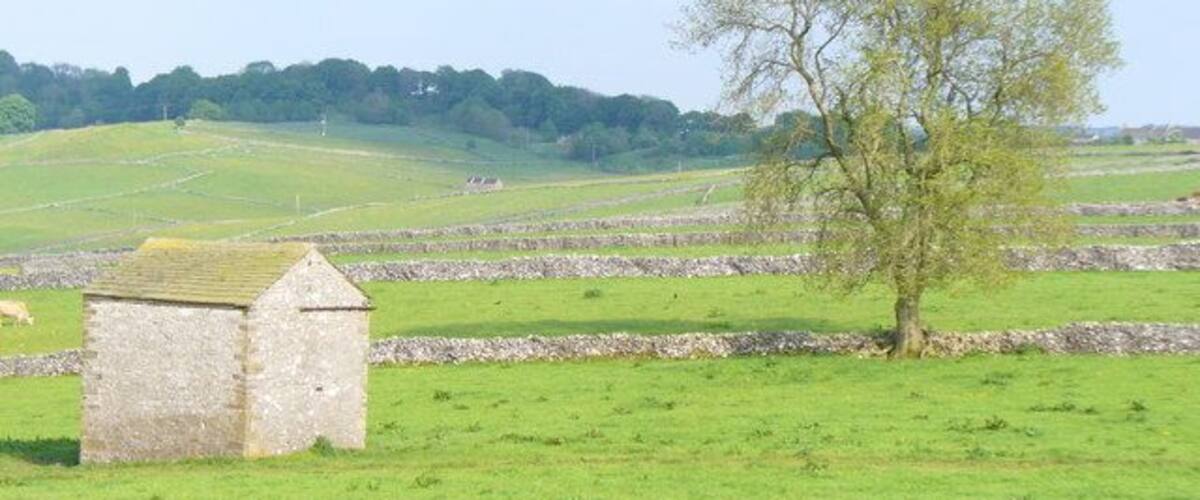A stone building, a tree, and stone walls in a rural landscape.