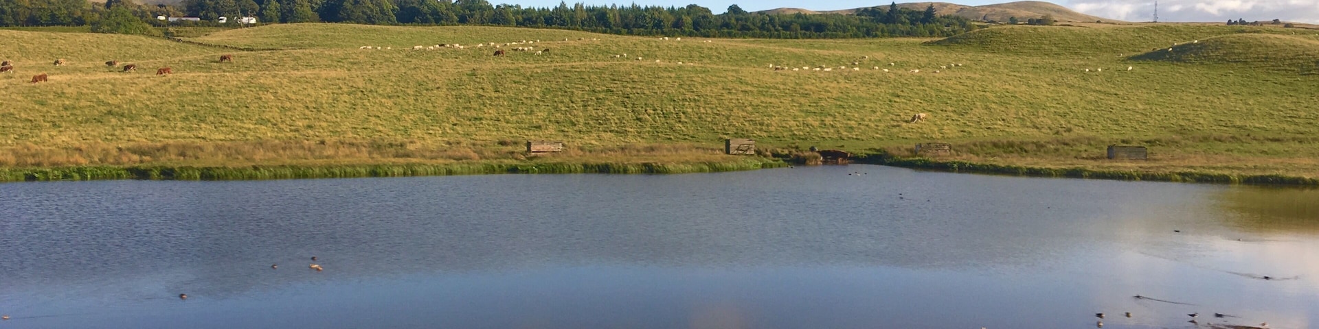 Rail Adventure (London - Inverness).
I’m quite dependent on my @iphone6pl to make out where in the map I am, and it does not disappoint. This is a plain in the village of Braco which is near Dunblane town, along the banks of Allan Water in Scotland.
#braco #dunblane #allanwater #iphone6plus #iphone #iphoneography #stirling #scotland #unitedkingdom #train #rail #adventures #travel #travelgram #instatravel #traveling #traveling #travelblogger #mariadasstheworld #virgintrains #scotrail #lner #caledoniansleeper