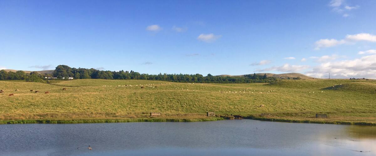 A calm lake surrounded by green fields and a clear blue sky.