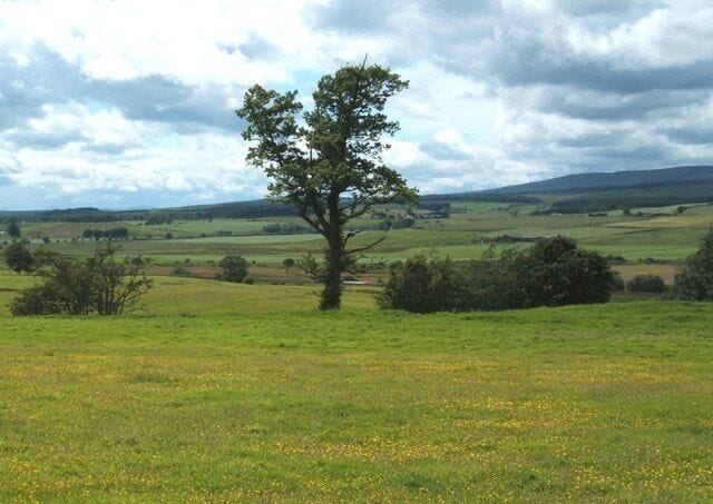 West of Greenloaning Looking in westwards direction.