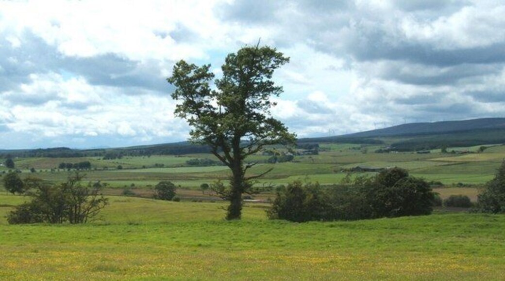 West of Greenloaning Looking in westwards direction.