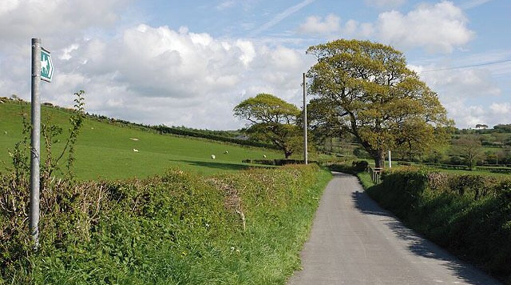 Bridleway north of Dole Also a farm access road.