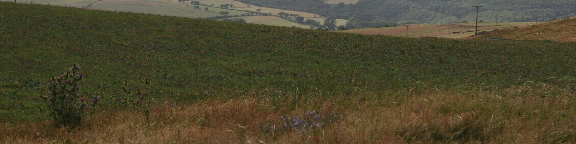 Looking for the way down There are so many many turbine related paths and wire fences around the Mynyddgorddu wind farm that trying to find a mere footpath can be difficult at times. Eventually I found my way back to the Leri Valley, seen here in the middle distance.