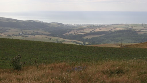 Looking for the way down There are so many many turbine related paths and wire fences around the Mynyddgorddu wind farm that trying to find a mere footpath can be difficult at times. Eventually I found my way back to the Leri Valley, seen here in the middle distance.