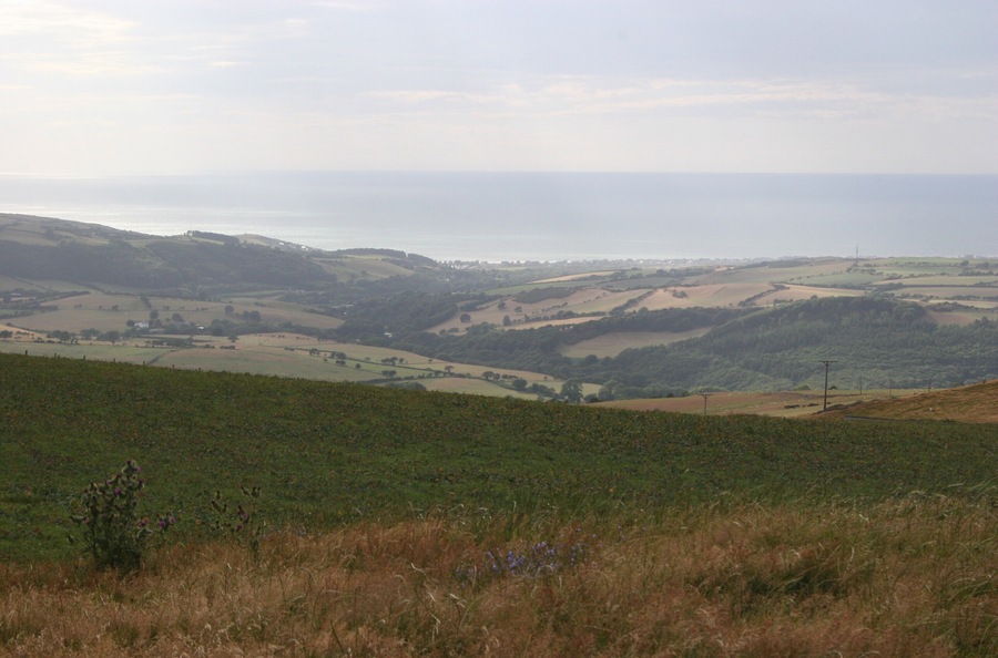 Looking for the way down There are so many many turbine related paths and wire fences around the Mynyddgorddu wind farm that trying to find a mere footpath can be difficult at times. Eventually I found my way back to the Leri Valley, seen here in the middle distance.