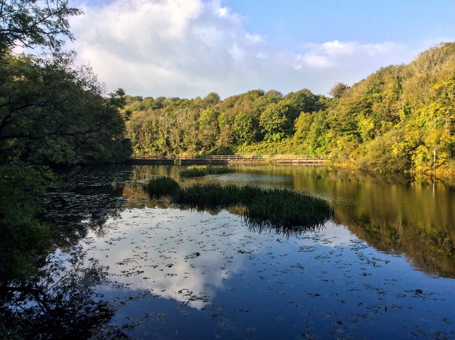 I don't think we spend enough time in reflection and introspection. We don't know who we are as individuals in this culture anymore.
Naomi Judd
The first day we didn't have much time, so we walked to the Lily ponds that are quite close to Bosherton. It was a lovely evening and the sun was out (the next two days we weren't so lucky) which created a nice reflection upon the surface of the water.
We could spend our whole day dreaming and I think we would only be able to draw surface reflections of what we saw. The universe or our world is that deep and profound. Yet, should we, at least, not try?
#hiking