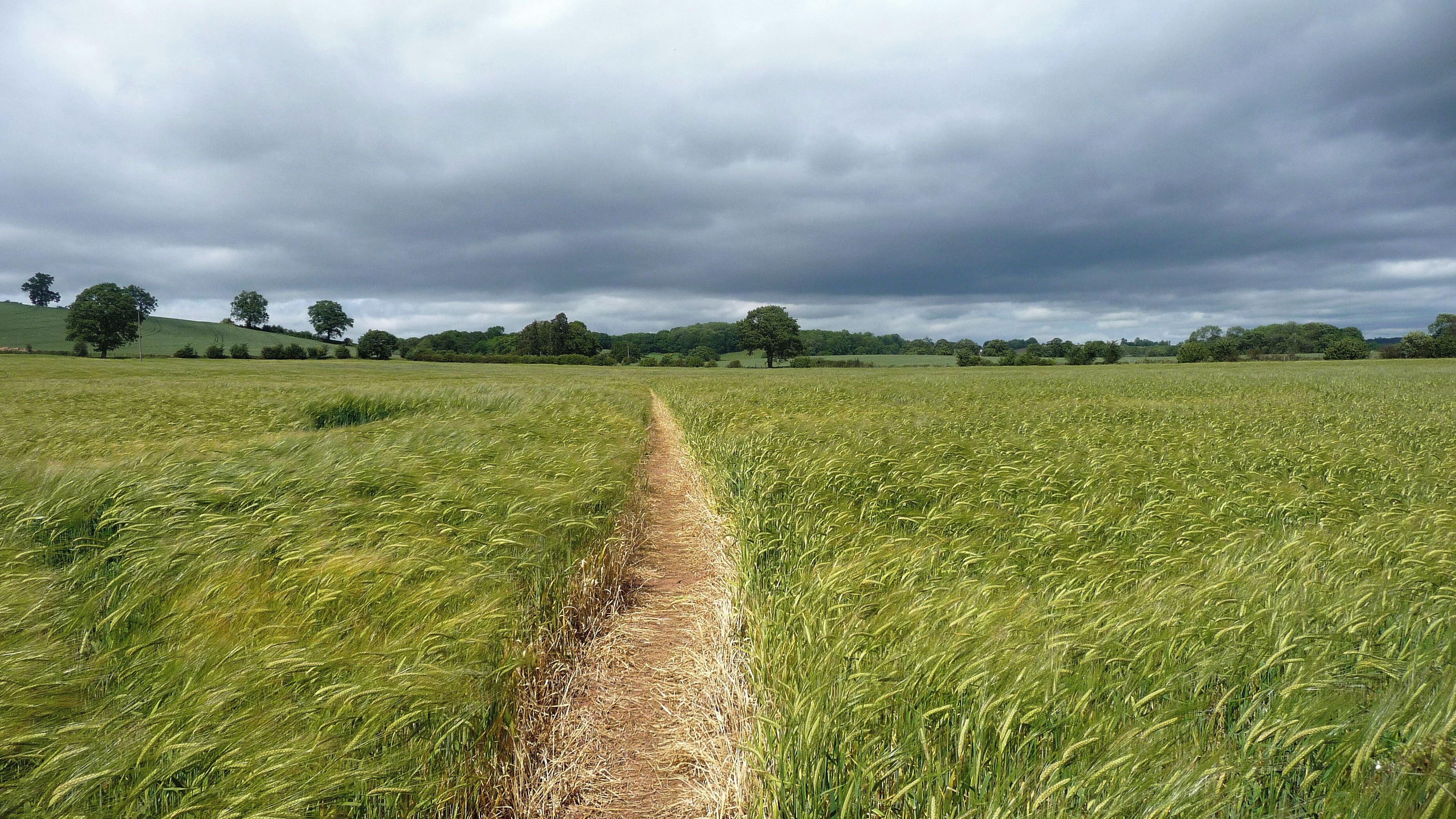 A field with a narrow path leading through it, surrounded by trees and hills under a cloudy sky.