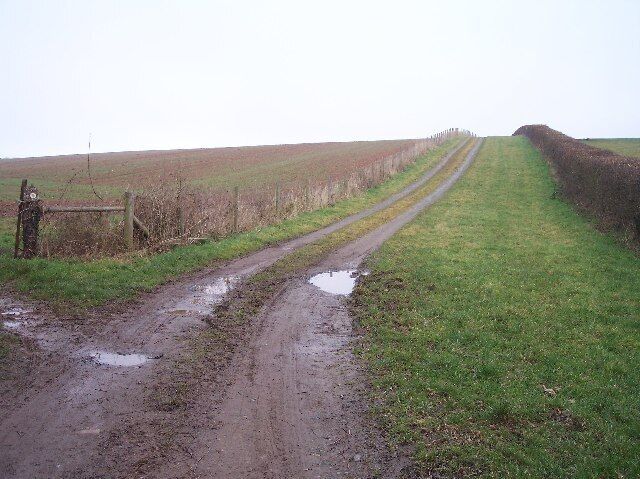 Track to The Merrings. Looking NE up the farm track whilst the public footpath turns off diagonally across the field to the left.