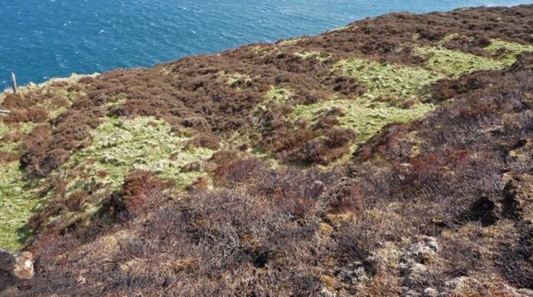 Lazy beds on Gob na Hoe A small and isolated patch of former cultivation, perched precariously above the cliffs on the west side of Loch Dunvegan.