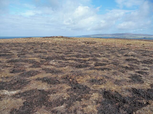After the muirburn Recent muirburning on the flat and wet top of Gob na Hoe.