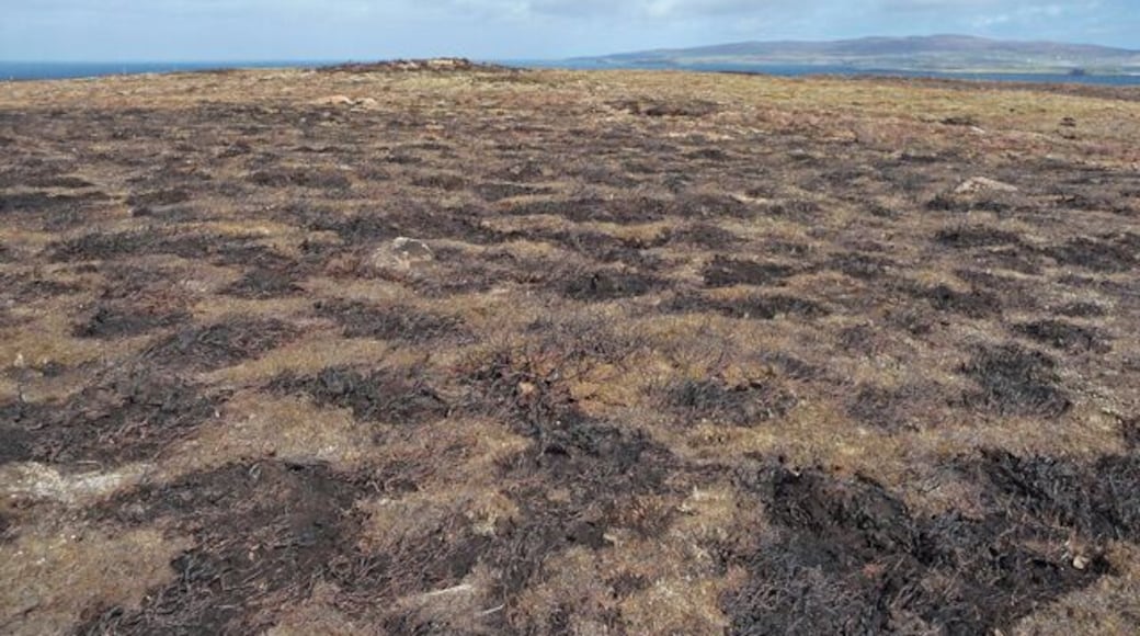 After the muirburn Recent muirburning on the flat and wet top of Gob na Hoe.