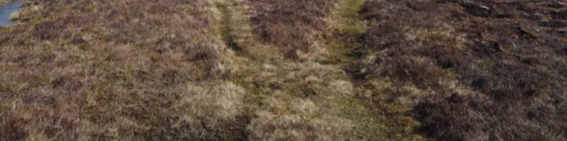 The MacCrimmon memorial cairn The cairn sits on Boreraig Hoe above Loch Dunvegan. The inscription on it is in Gaelic. It translates (to the best of my limited ability) as: "Remembrance cairn for the Clan MacCrimmon, hereditary pipers to the Macleods for ten generations and who were famous as writers, players and teachers of bagpipe music. Close to this place was the MacCrimmon music school from 1500 to 1800 AD."