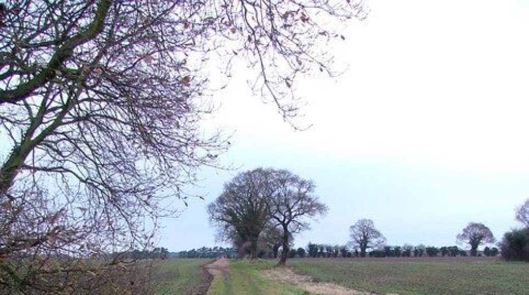 School Loke View north along School Loke.