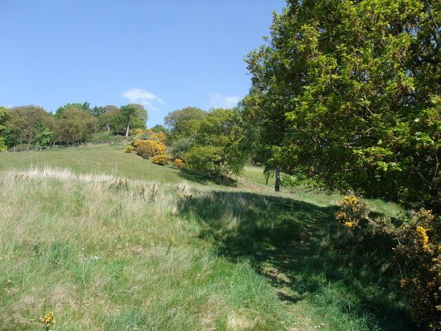 Offa's Dyke Path approaching Coed Moel-y-Gaer