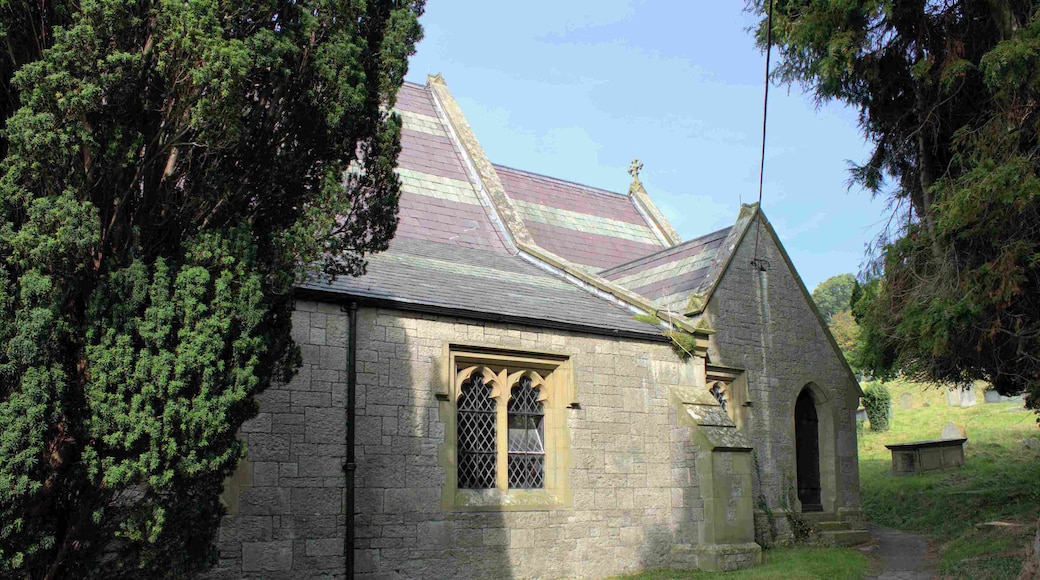 The ancient parish of Bodfari comprised the townships of Bodfari, which was in historic Flintshire, and Aberwheeler, in historic Denbighshire. Medieval tower.