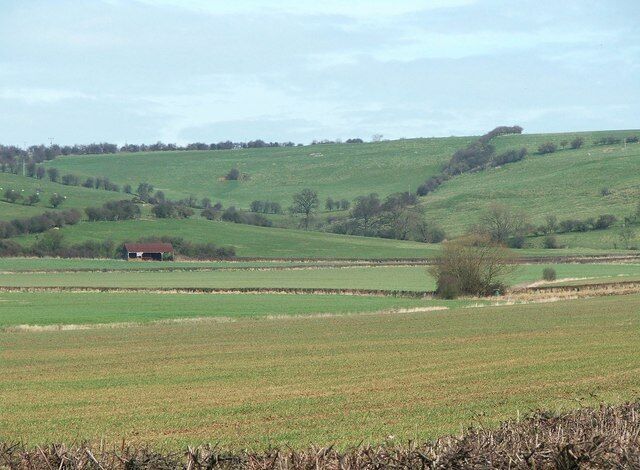 Fields alongside B4011