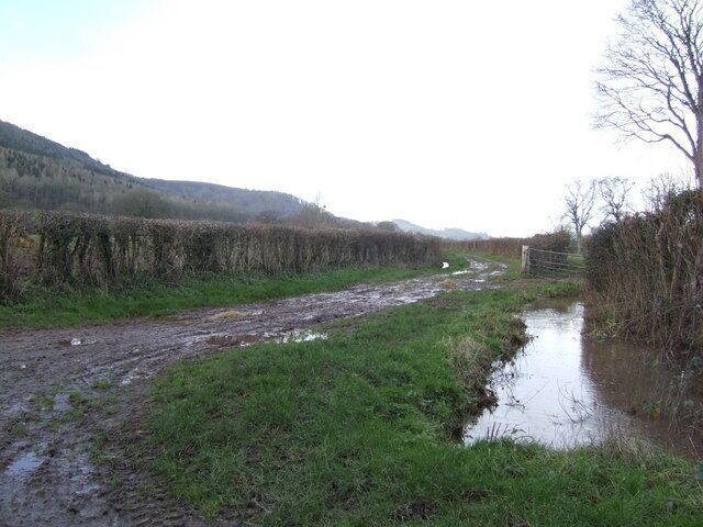 Muddy track near Blakemere