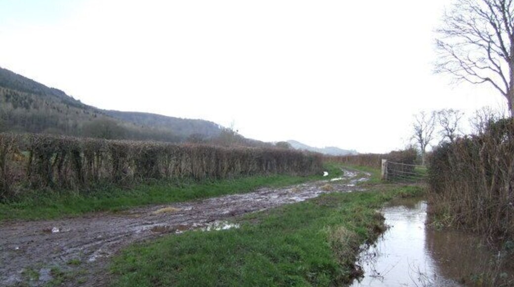 Muddy track near Blakemere