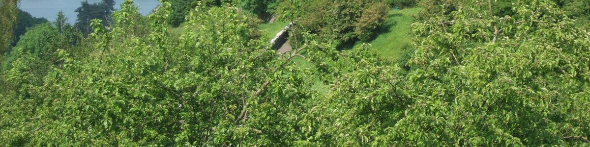 The tower of Blagdon Church, with the lake in background
