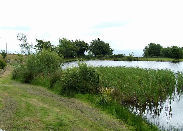 Lake near Penuwch, Ceredigion This landscaped "wildlife lake" by Brynamlwg was a particular feature in publicity encouraging the letting of the restored buildings. Apparently they are not available at present.