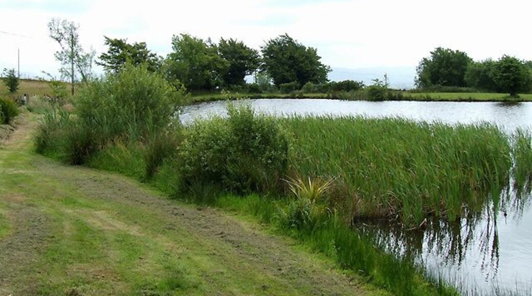 Lake near Penuwch, Ceredigion This landscaped "wildlife lake" by Brynamlwg was a particular feature in publicity encouraging the letting of the restored buildings. Apparently they are not available at present.