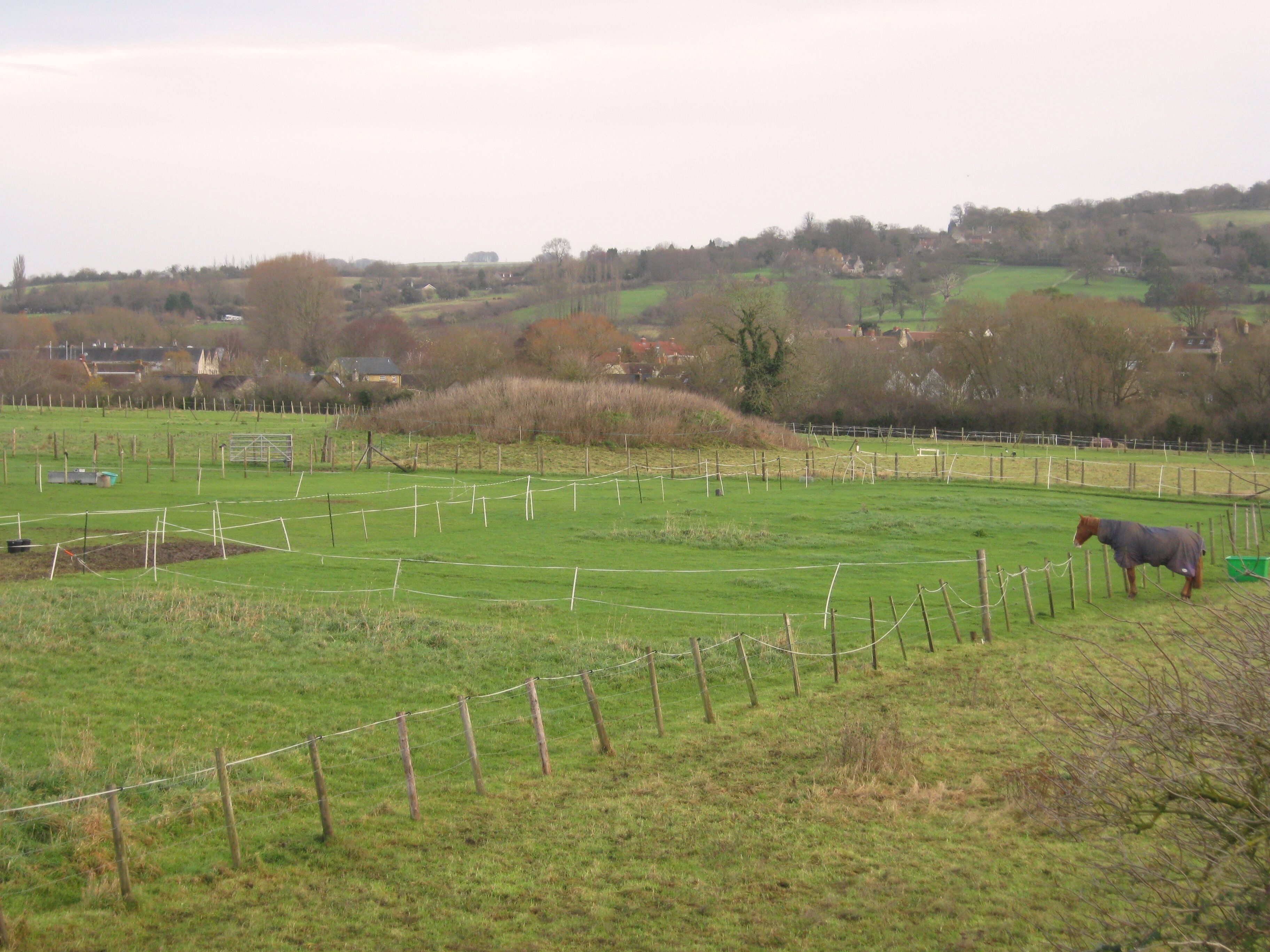 Round Barrow in Barrow Field, Bitton.