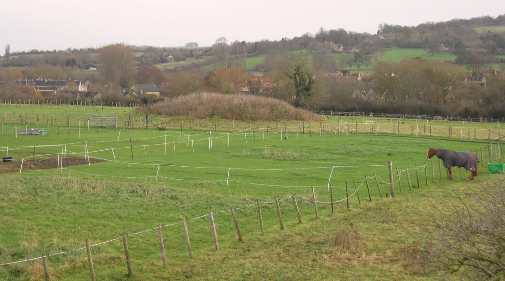 Round Barrow in Barrow Field, Bitton.