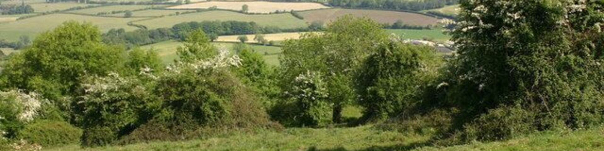 View North from Hanging Hill.