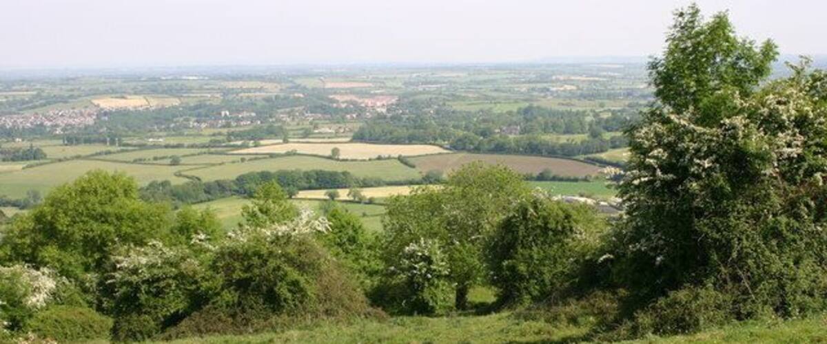 A grassy hill with trees and a view of a valley with fields and a small town.