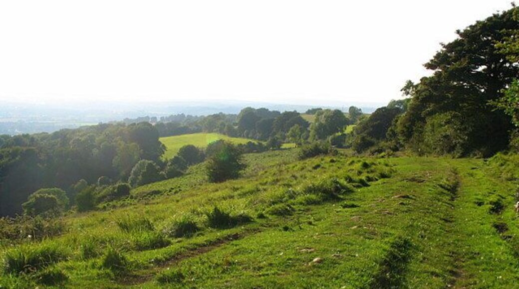 The old route of Lansdown Lane This grassy track marks the old route from Upton Cheyney to Lansdown. The area is now open access land.