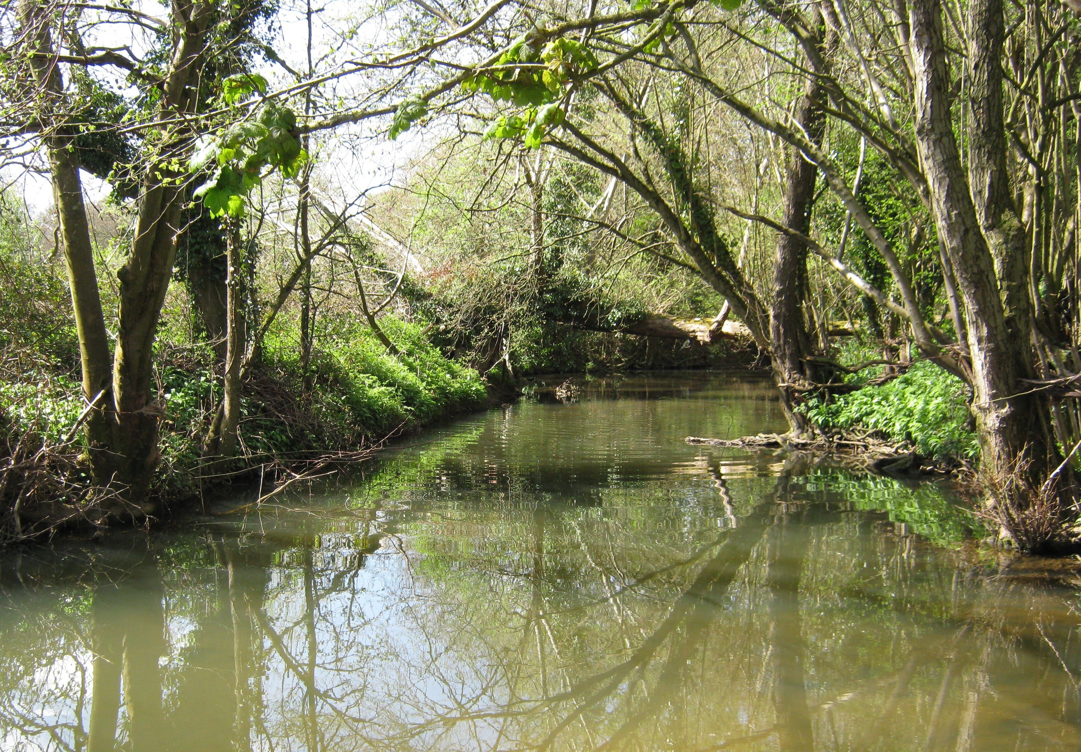 Early Spring, River Boyd, Golden Valley.