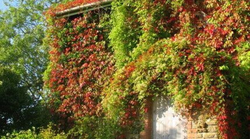 Madrigal Cottage - Lansdown Lane The cottage was built in 1783, presumably when Lansdown Lane ran all the way from Upton Cheyney to Lansdown itself. It's situated in a great position with spectacular views all the way to the Mendip Hills to the south.