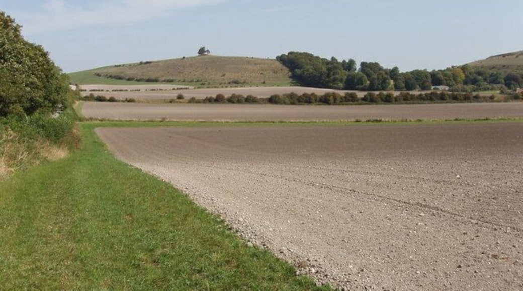 Middle Hill and fields of Bishopstrow Farm near Warminster. View from bridleway just north of Bishopstrow Farm. Field in the foreground has been harrowed ready for new crop. The green strip at the bottom of the field is along a stream, the line of bushes beyond is the railway. The top of the hill is 1 km from the viewpoint, in the same grid square.