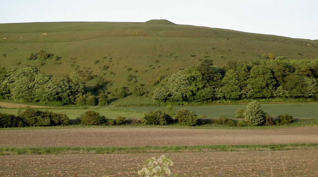 Scratchbury Hill